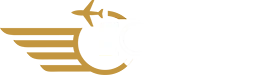 EcrinVIP Transfer ve Araç Kiralama